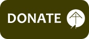 Green Donate transparent button